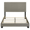 Dorian - Upholstered Panel Bed