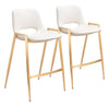 Desi - Counter Stool (Set of 2)