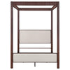 Zimmerlee - Metal Canopy Bed
