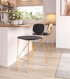Georges Counter Stool Gray & Gold — Set of 2