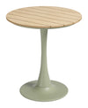 Oswego Bistro Table Green