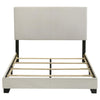 Dorian - Upholstered Panel Bed