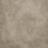 Velar Counter Stool Beige & Bronze — Set of 2