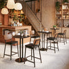 Ardenne Counter Stool Black & Brown — Set of 2