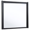 Leandro - Dresser Mirror - Burnished Black