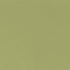 Lychee Armchair Green