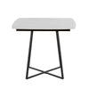 Folia - Dinette Table - Black Metal