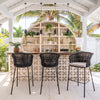 Freycinet Barstool Black — Set of 2