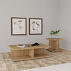 Cortona 2-piece Coffee and End Table Set Mango — product view 1