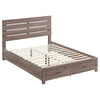 Brantford Wood Queen Storage Panel Bed Barrel Oak — product view 1