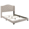 Sonoma Upholstered Queen Wingback Bed Beige — product view 1