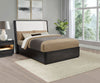 Leandro 55-inch Queen Wingback Bed Burnished Black — product view 2