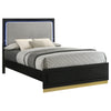 Caraway Wood Queen LED Panel Bed Black — product view 3