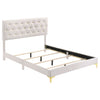 Kendall 5-piece Queen Bedroom Set White — product view 3