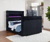 Tisdall Queen Flame Visualizer Wingback TV Bed Black — product view 3