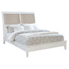 Bexhill 56-inch Upholstered Queen Panel Bed White — product view 3