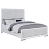 Gracemont 57-inch Queen Panel Bed Grey and White — product view 3