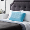 Zoned Dough® + Bamboo Charcoal Pillow