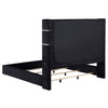 Tisdall Upholstered Queen Flame Visualizer Bed Black — product view 4