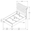 Devon 57-inch Upholstered Queen Panel Bed Beige — product view 5