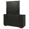 Leandro 8-drawer Bedroom Dresser with Mirror Burnished Black — product view 8