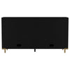 Arini 2-drawer Cane Door Dining Sideboard Server Black — product view 8
