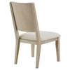 Trofello Cushioned Dining Side Chair White Washed (Set of 2) — product view 8