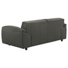 Buxton 2-piece Leather Upholstered Sofa Set Graphite — product view 10