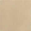 Bradbury Fabric Upholstered Dining Arm Chair Beige (Set of 2) — product view 12