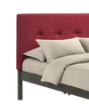 Paprika Platform Bed