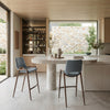 Desi Counter Stool (Set of 2) Azure Gray & Walnut — Set of 2