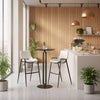 Desi Barstool White — Set of 2