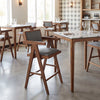 Delhi Counter Stool Gray & Walnut — Set of 2