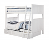 Jordan Bunk Bed